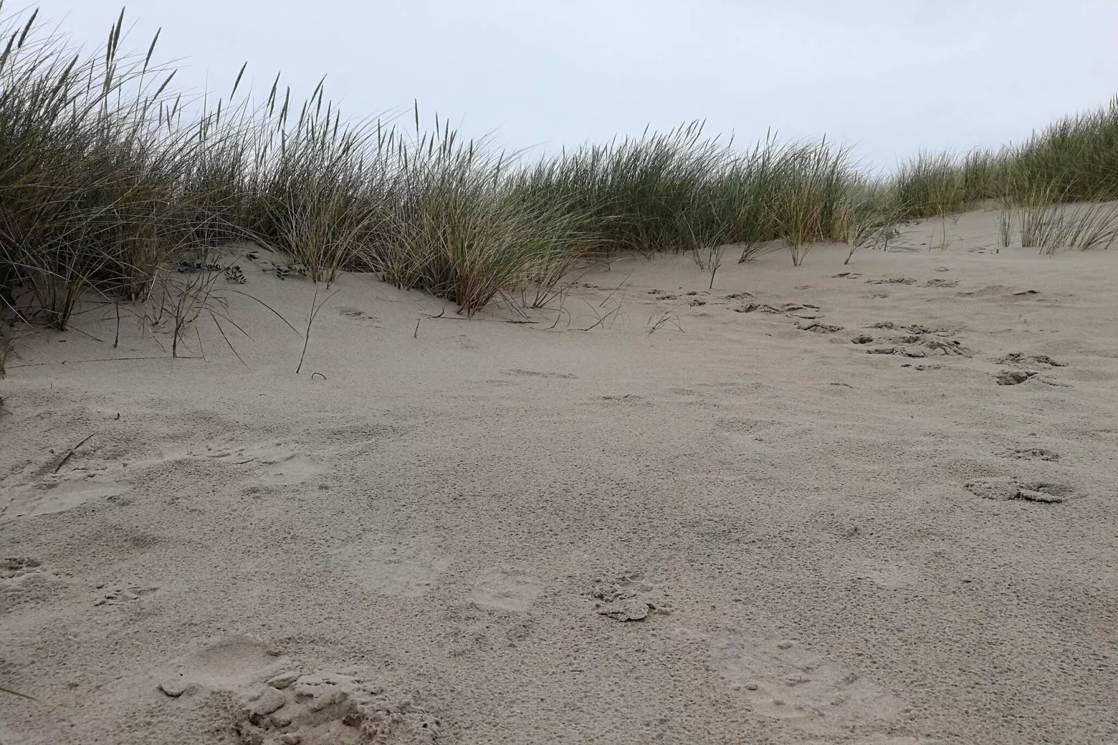 10 persoons vakantie huis in Fjerritslev-By Traum-Niet-getagd