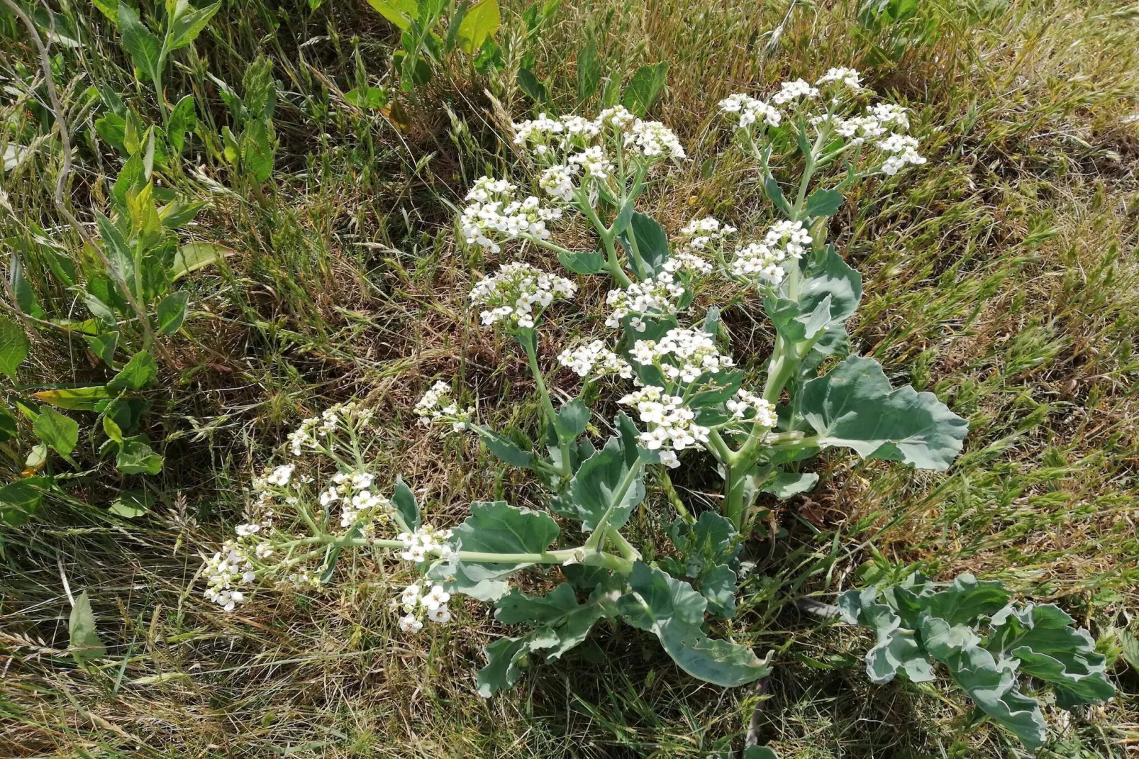 Panoramisch toevluchtsoord in Borgnaes -- By Traum Ferienwohnungen-Niet-getagd