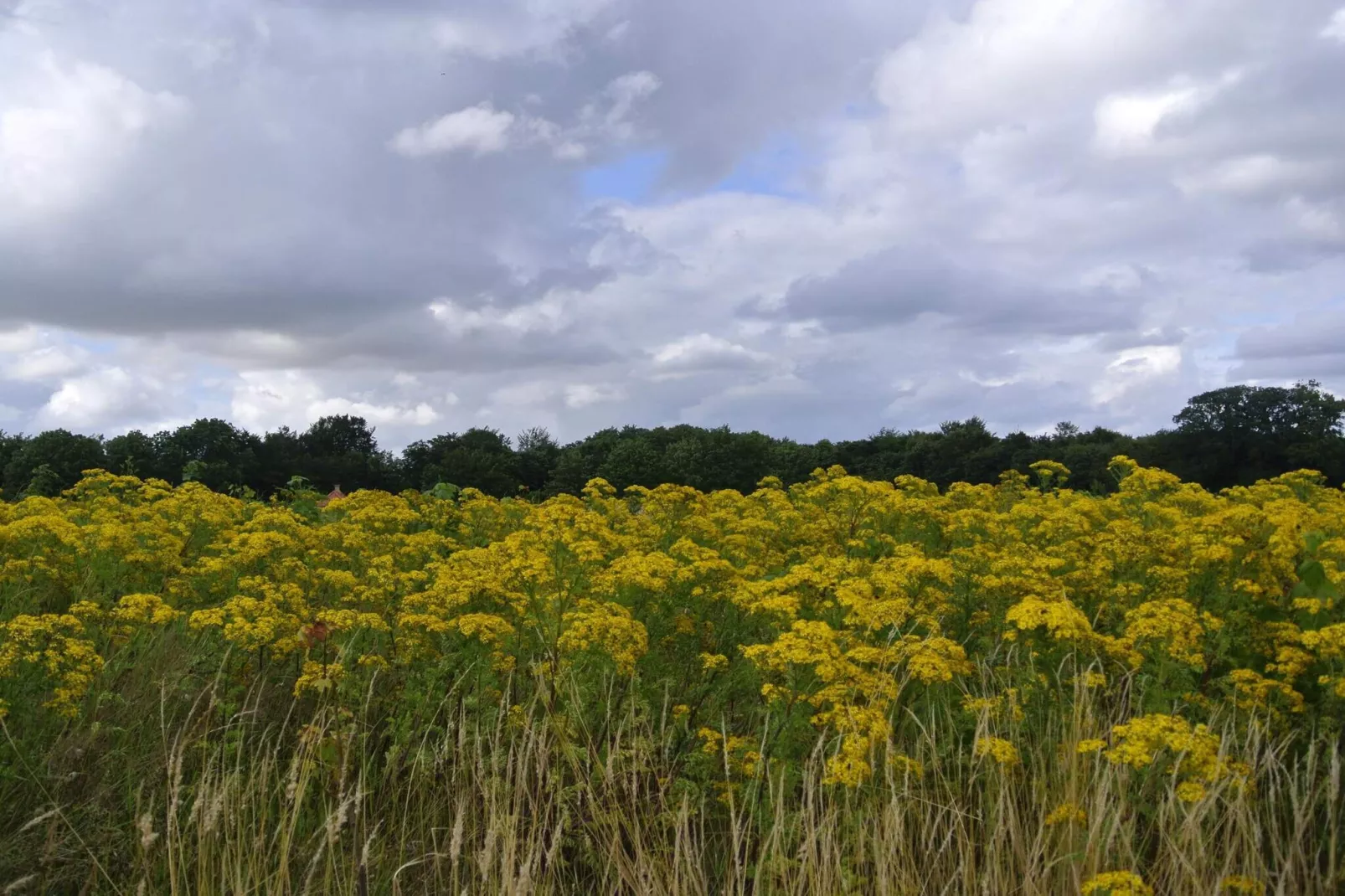 Luxe toevluchtsoord in Hejlsminde - door Traum-Niet-getagd