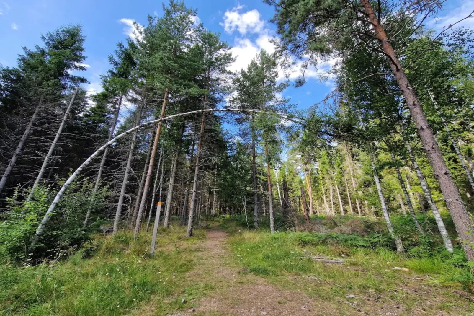 7 persoons vakantie huis in BRUZAHOLM-By Traum-Niet-getagd