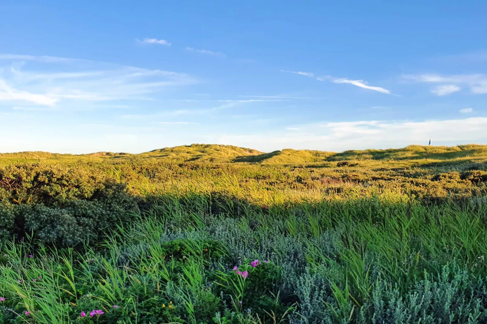 8 persoons vakantie huis in Rømø-By Traum-Buitenlucht