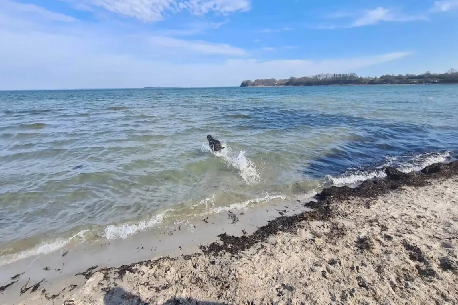 4 persoons vakantie huis in Hejls-By Traum-Waterzicht