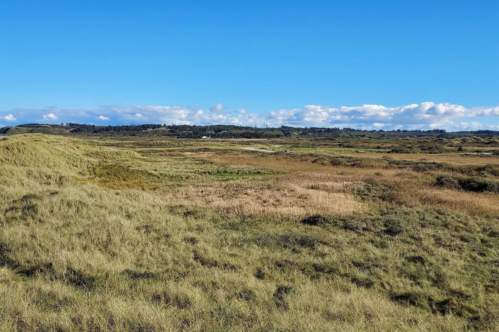 10 persoons vakantie huis in Fjerritslev-By Traum-Niet-getagd