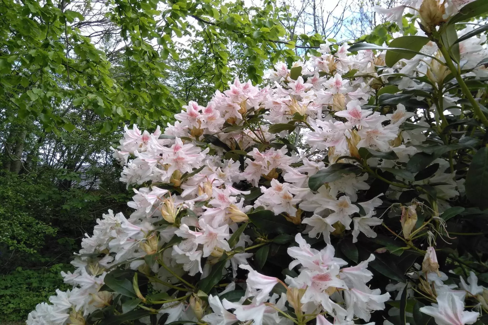 6 persoons vakantie huis in Thyholm-By Traum-Niet-getagd