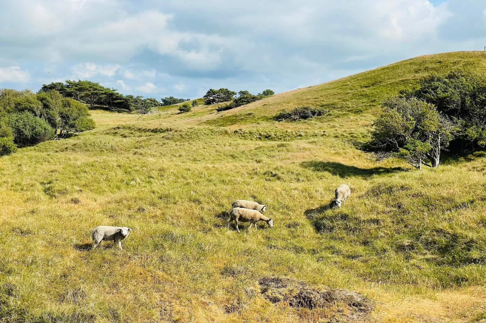 Luxe zwembadvilla in Vejby -- By Traum Ferienwohnungen