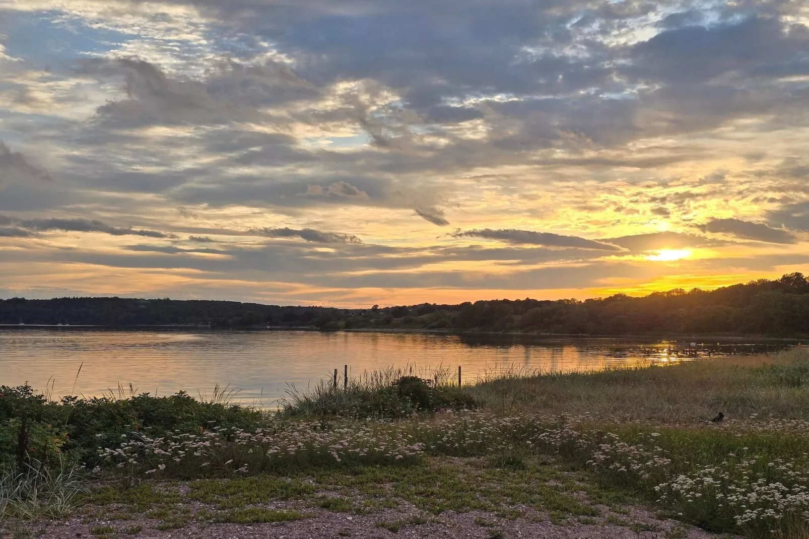 4 persoons vakantie huis in Aabenraa-By Traum-Waterzicht