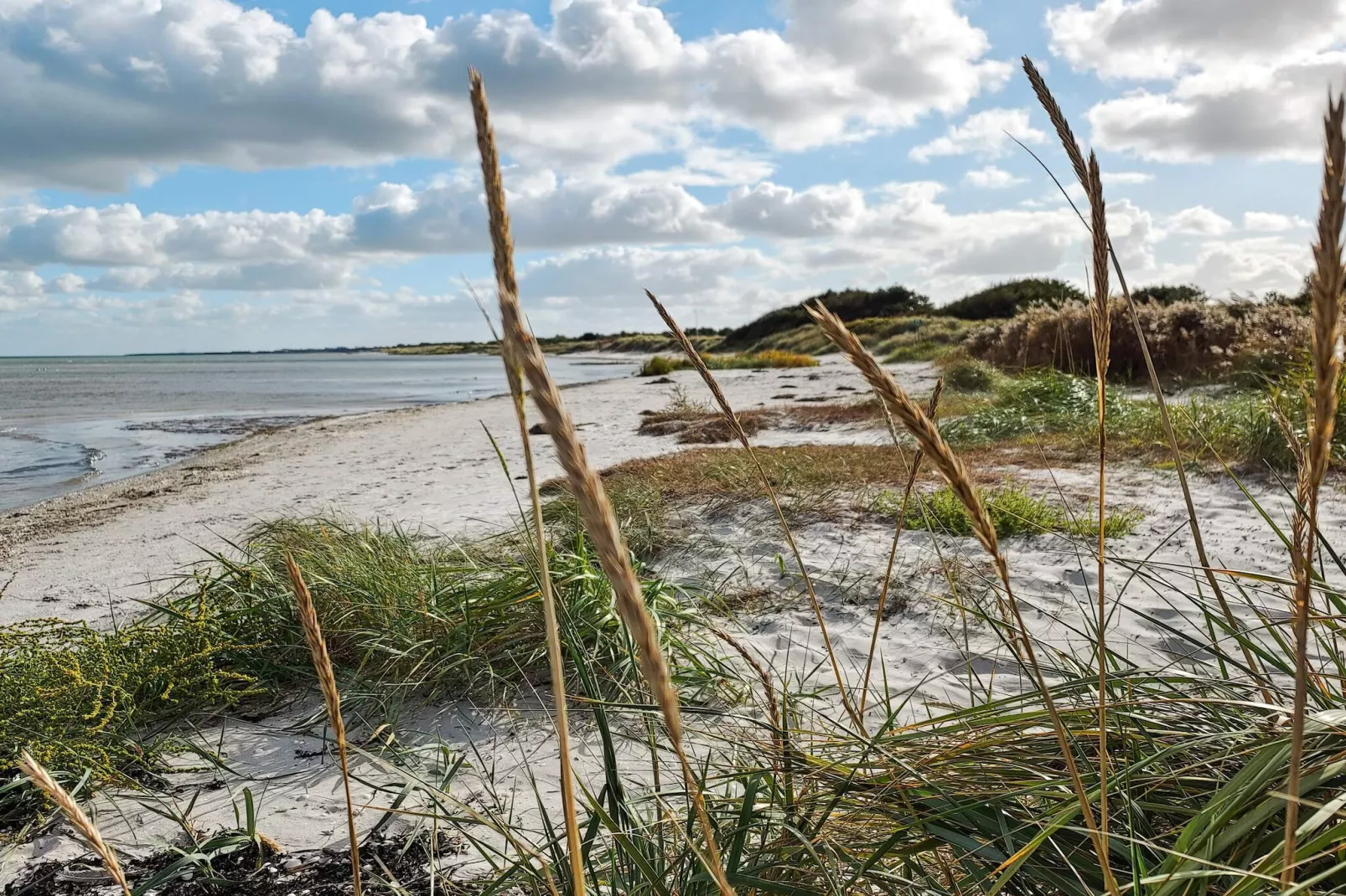 Luxe retraite met spa -- By Traum Ferienwohnungen-Waterzicht