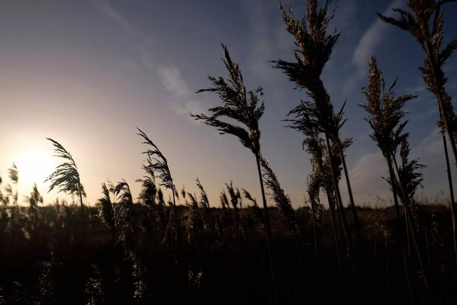 6 persoons vakantie huis in Hals-By Traum-Niet-getagd