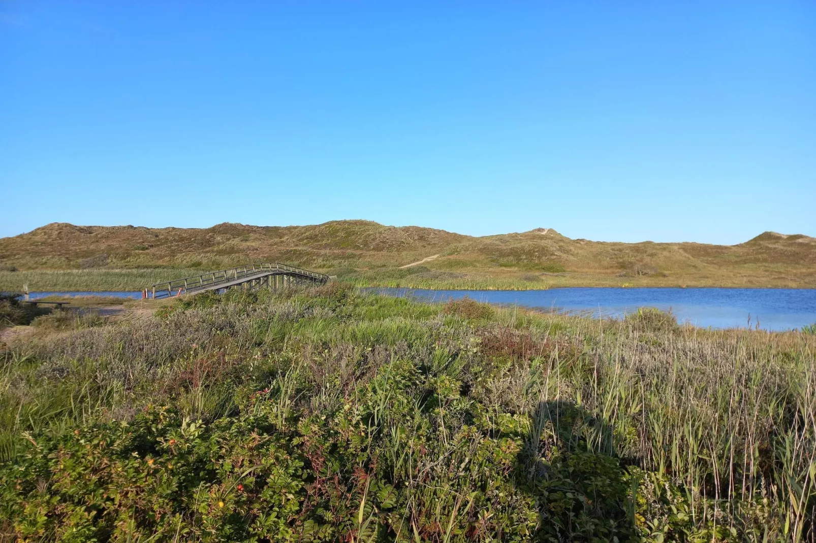8 persoons vakantie huis in Nørre Nebel-By Traum
