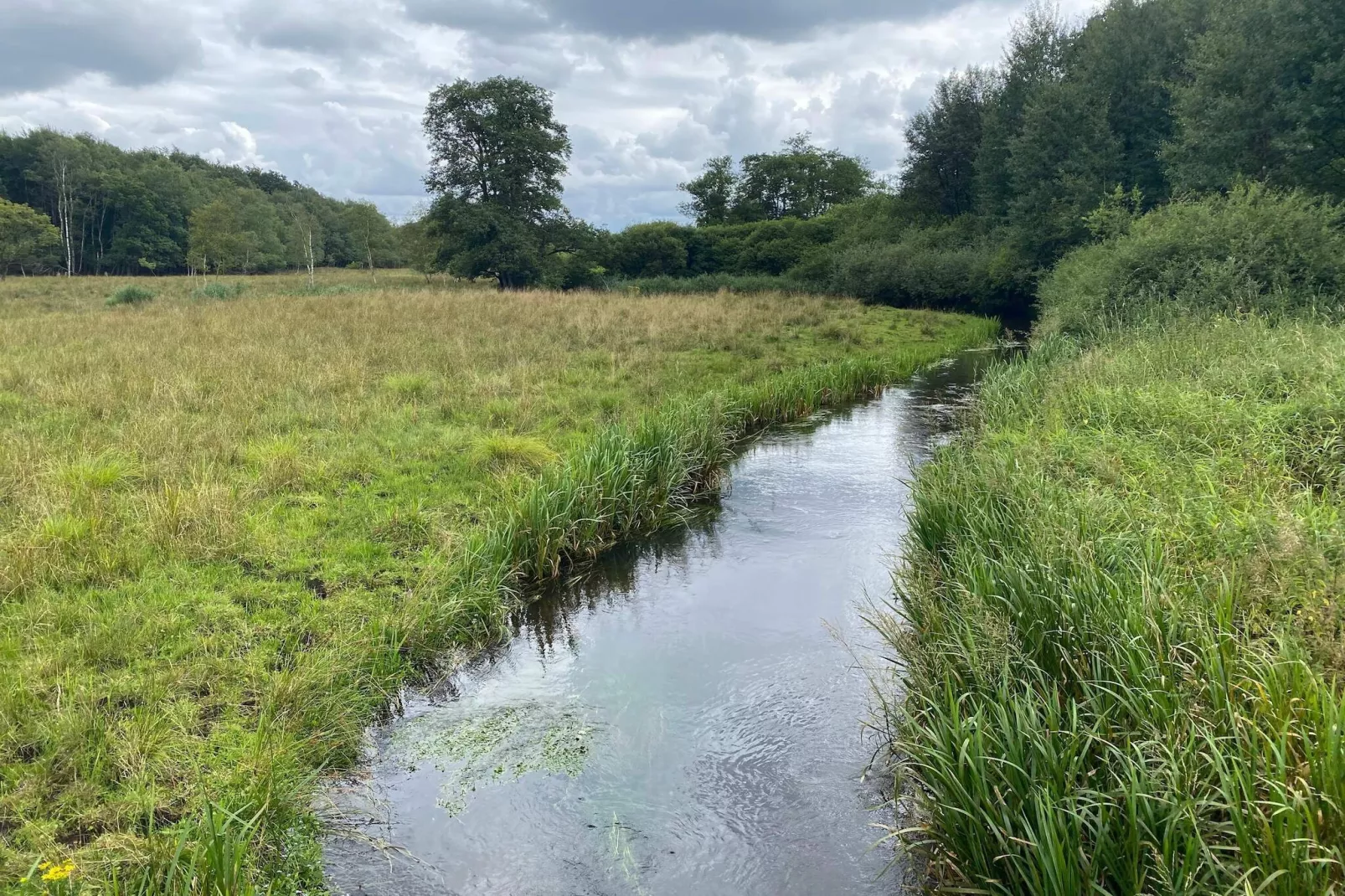 4 persoons vakantie huis in Grindsted-By Traum