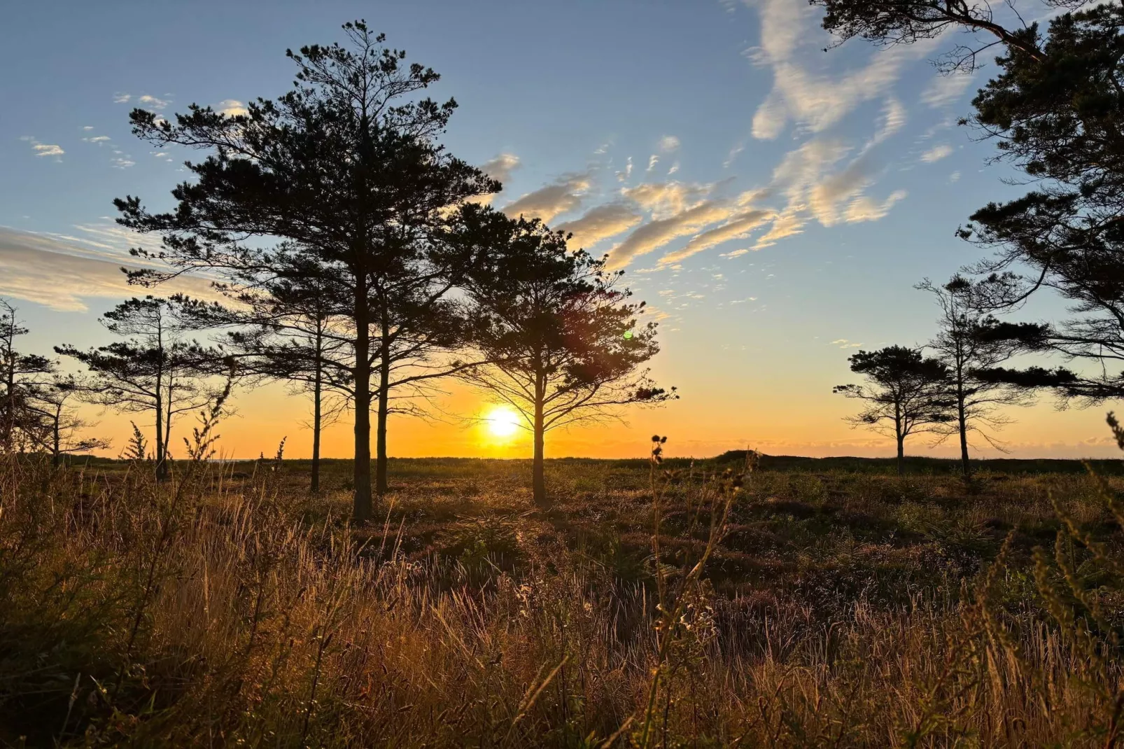 6 persoons vakantie huis in Hals-By Traum-Niet-getagd