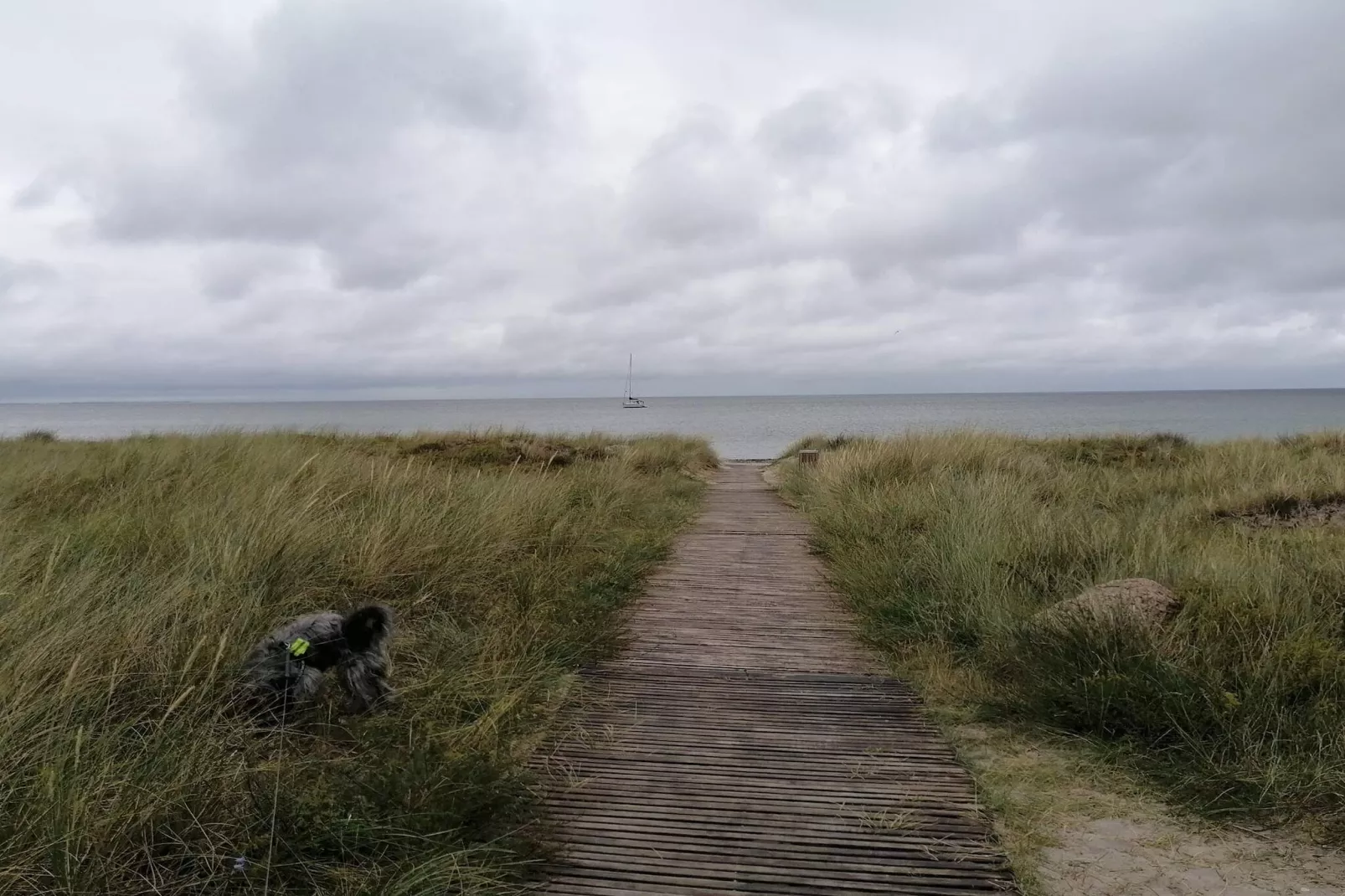 Rustig toevluchtsoord bij Ulvshale -- By Traum Ferienwohnungen-Niet-getagd