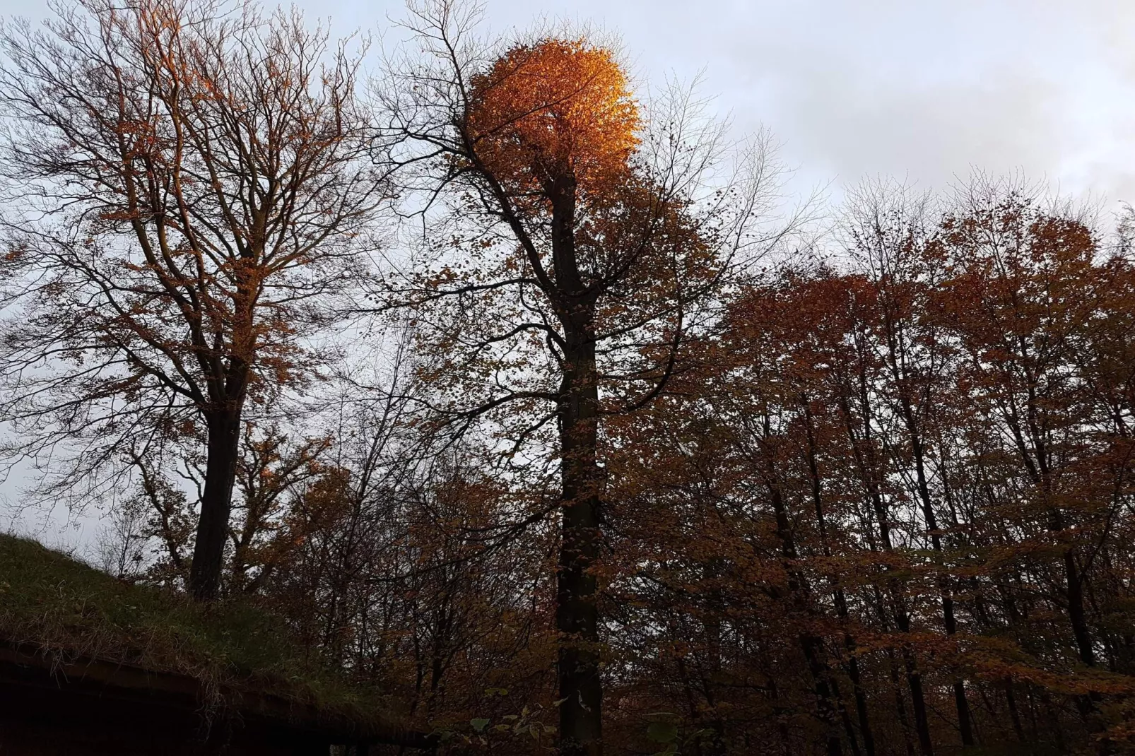 6 persoons vakantie huis in Børkop-Niet-getagd