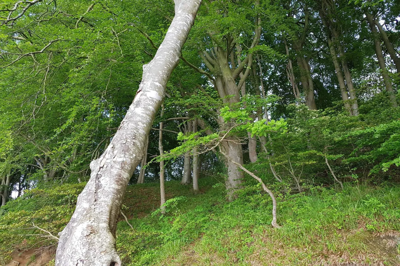 Gezellig toevluchtsoord nabij strand -- By Traum Ferienwohnungen-Niet-getagd