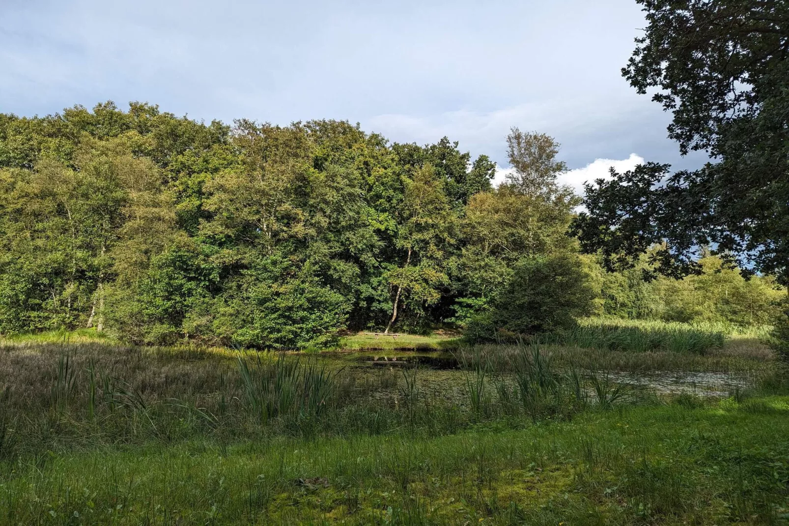 6 persoons vakantie huis in Toftlund-By Traum-Niet-getagd