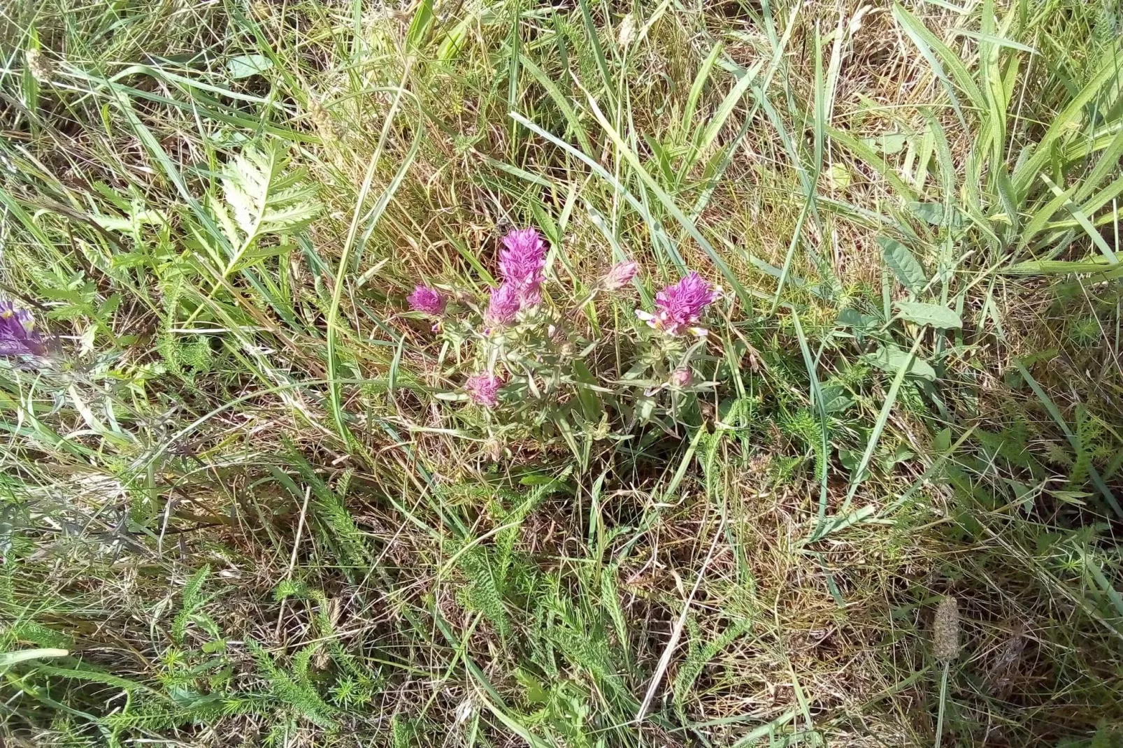 4 persoons vakantie huis in Føllenslev-By Traum-Niet-getagd