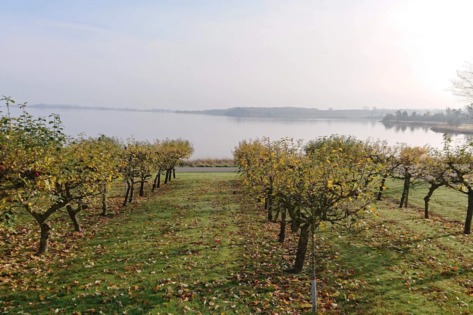 7 persoons vakantie huis in Juelsminde-Waterzicht