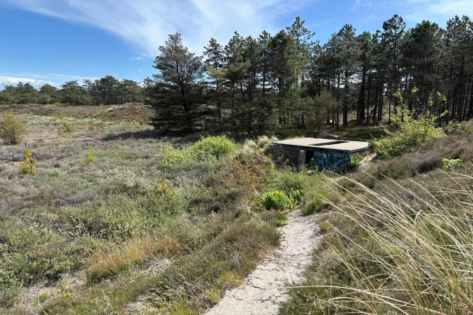 6 persoons vakantie huis in Rømø-By Traum