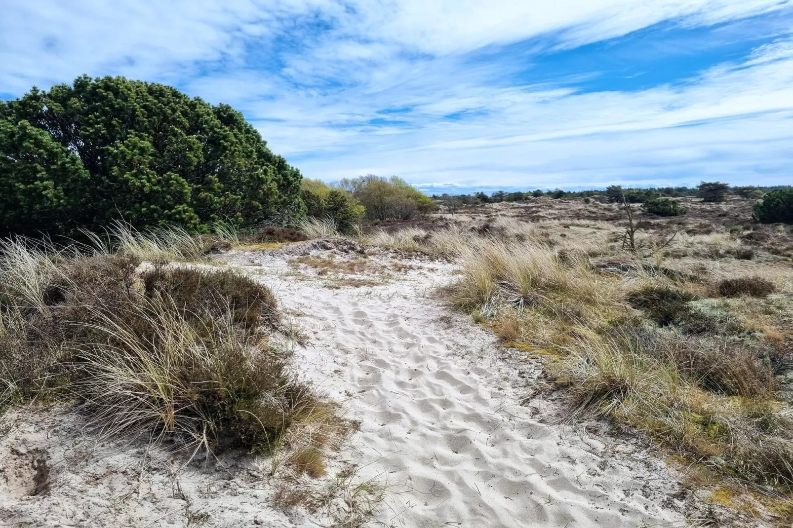 4 persoons vakantie huis in Fanø-By Traum-Niet-getagd
