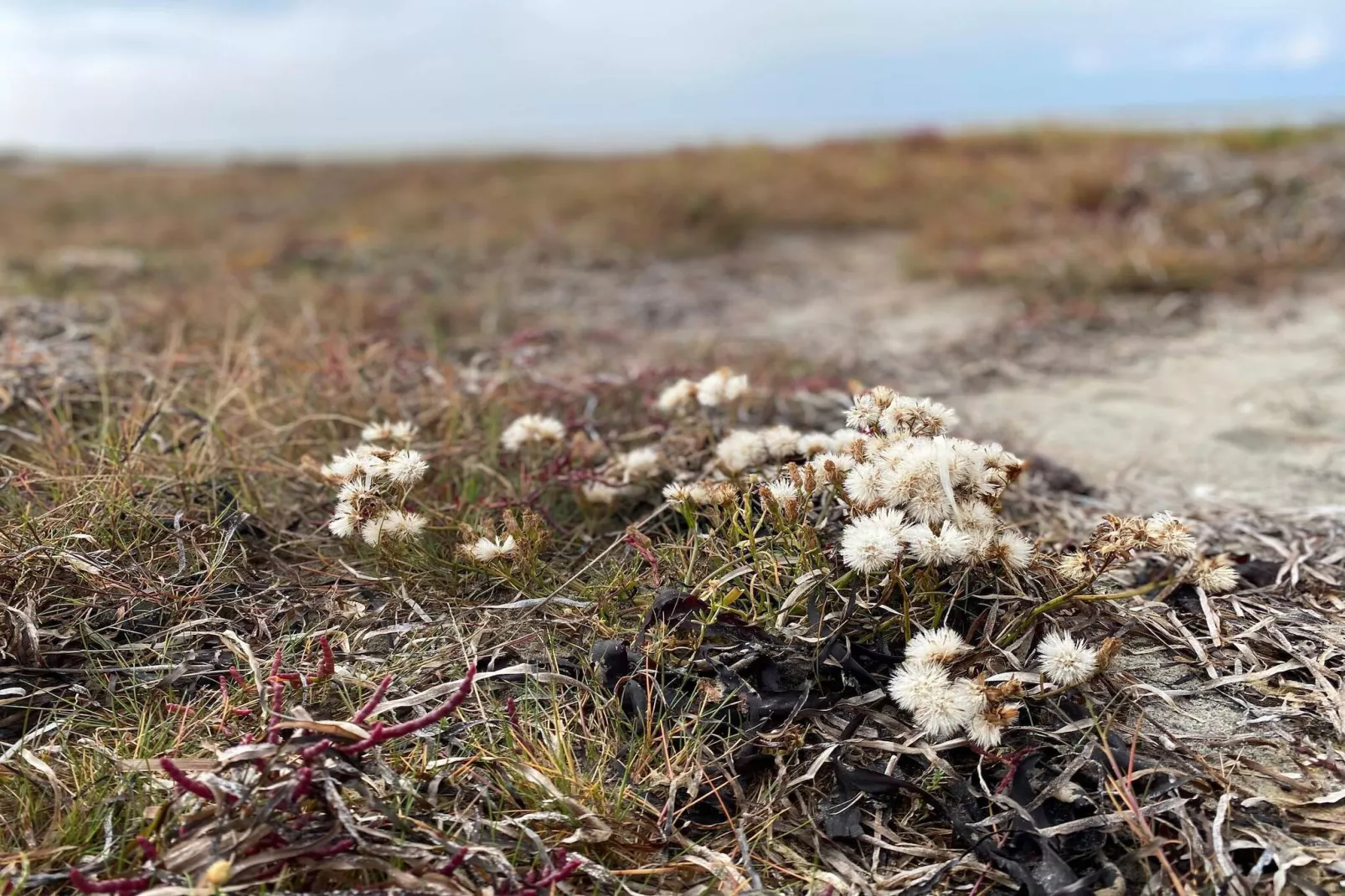 Kust ontsnapping in Laeso -- By Traum Ferienwohnungen-Niet-getagd