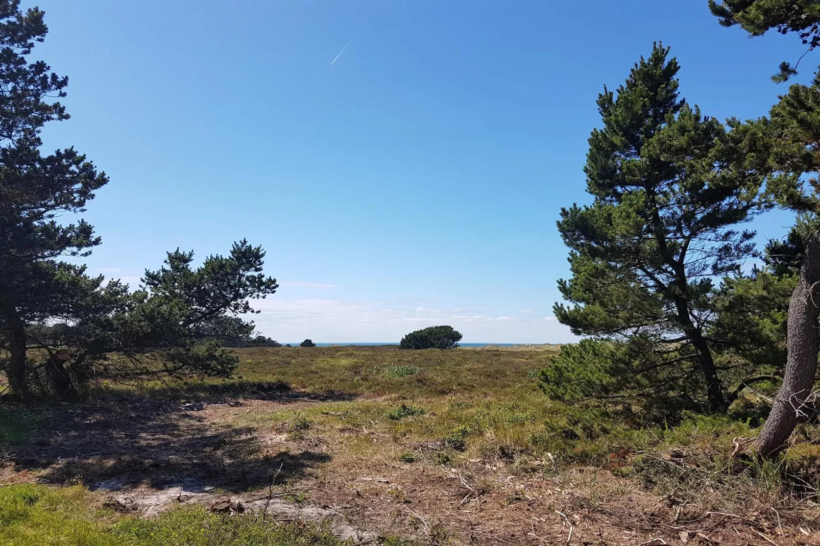 6 persoons vakantie huis in Læsø-By Traum-Niet-getagd