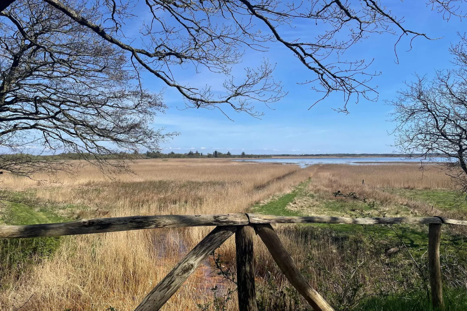 12 persoons vakantie huis in Ulfborg-By Traum-Niet-getagd