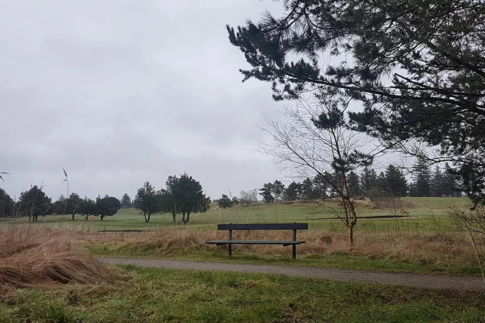 6 persoons vakantie huis in Fjerritslev-By Traum-Niet-getagd