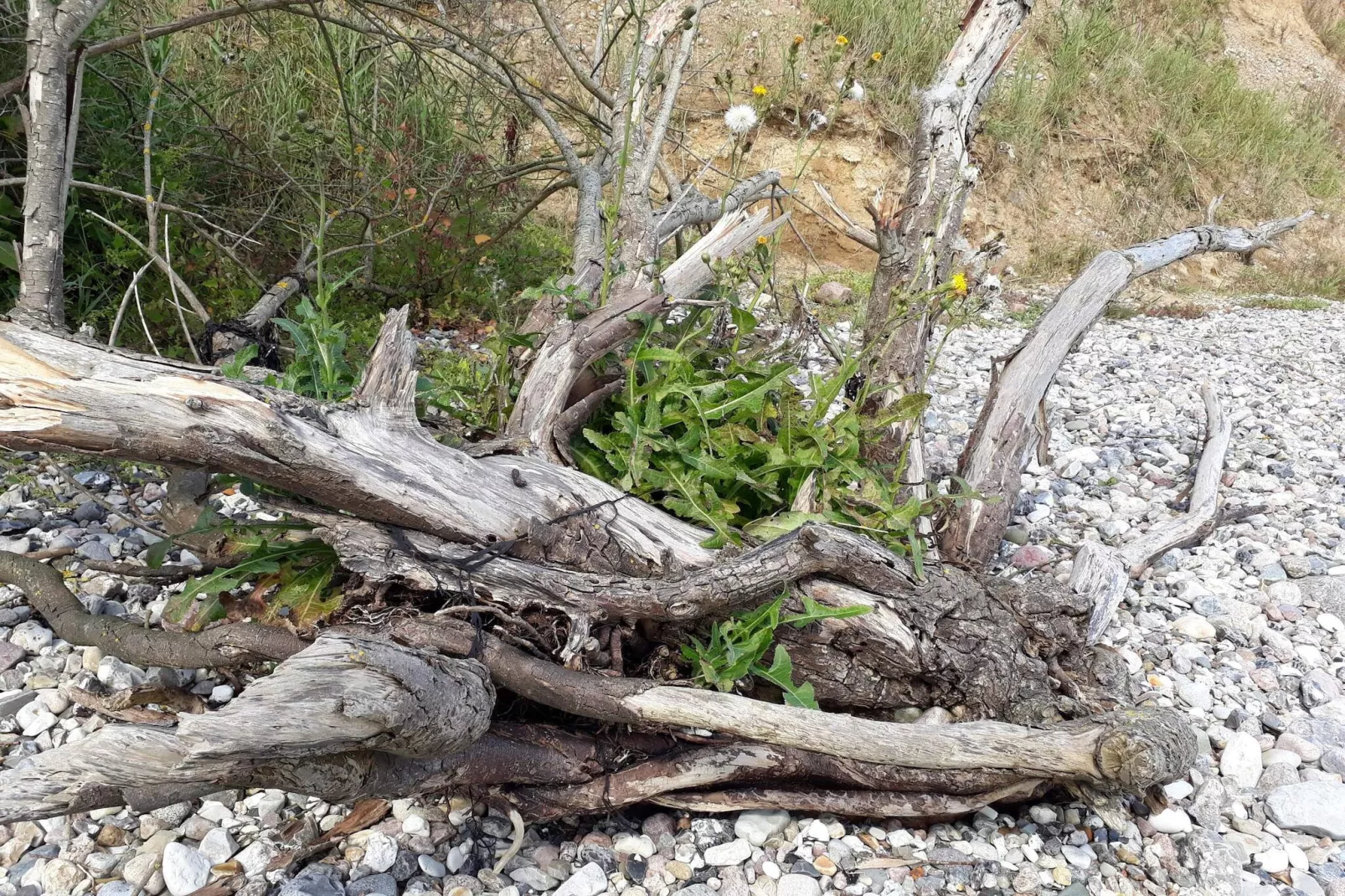 6 persoons vakantie huis in Haderslev-By Traum-Niet-getagd