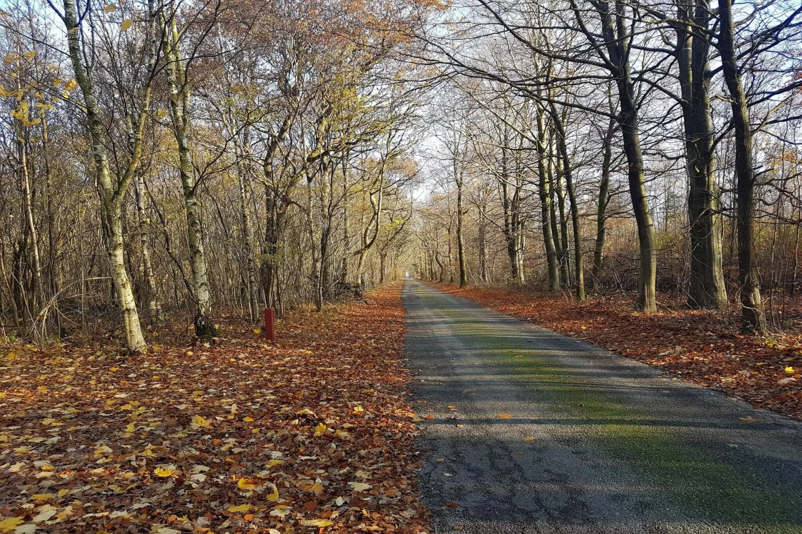 4 persoons vakantie huis in Toftlund-By Traum-Niet-getagd