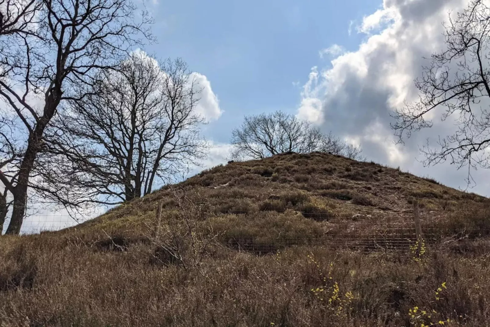 8 persoons vakantie huis in Gjern-By Traum-Niet-getagd