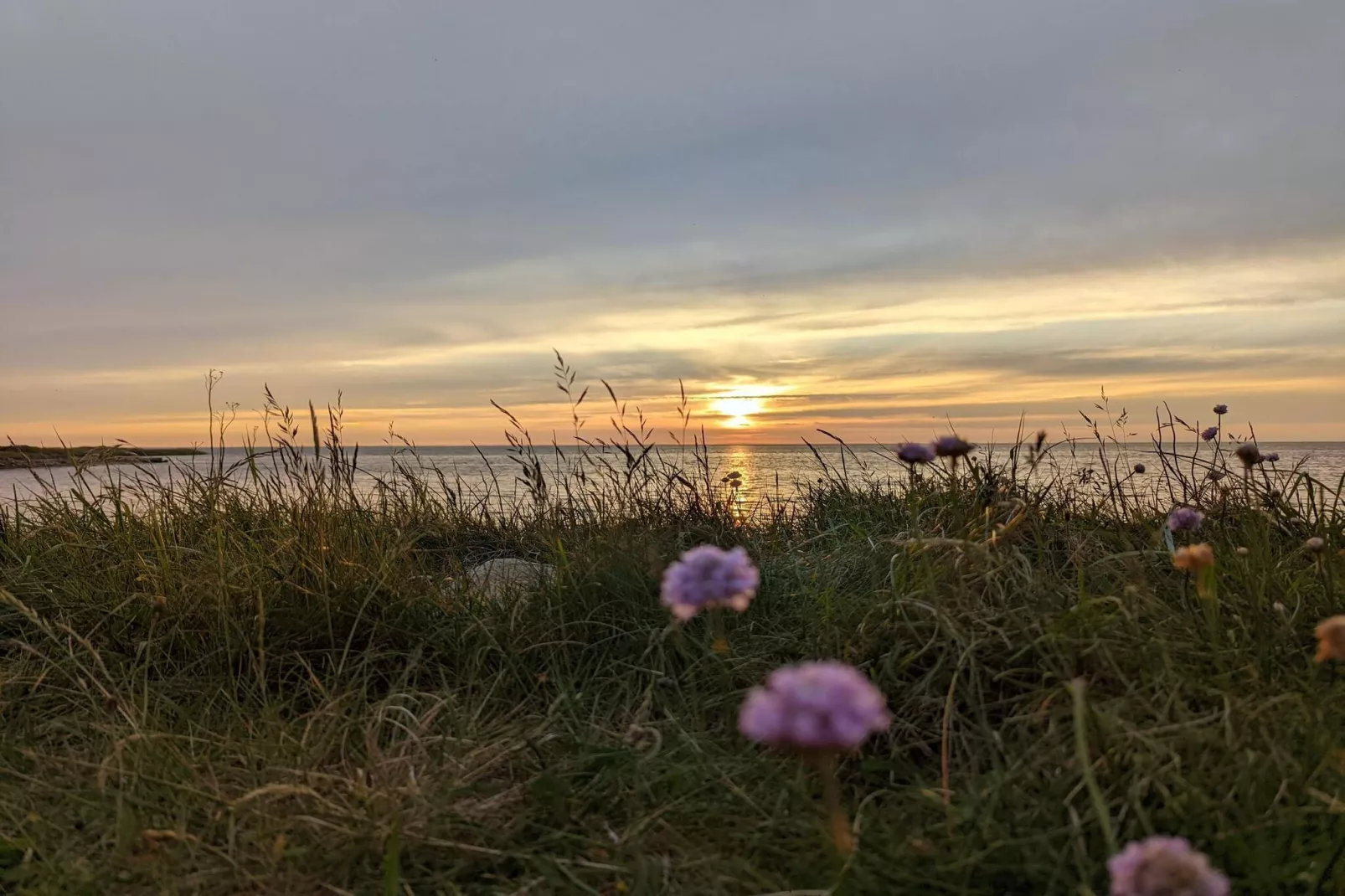 6 persoons vakantie huis in Hemmet-By Traum-Niet-getagd