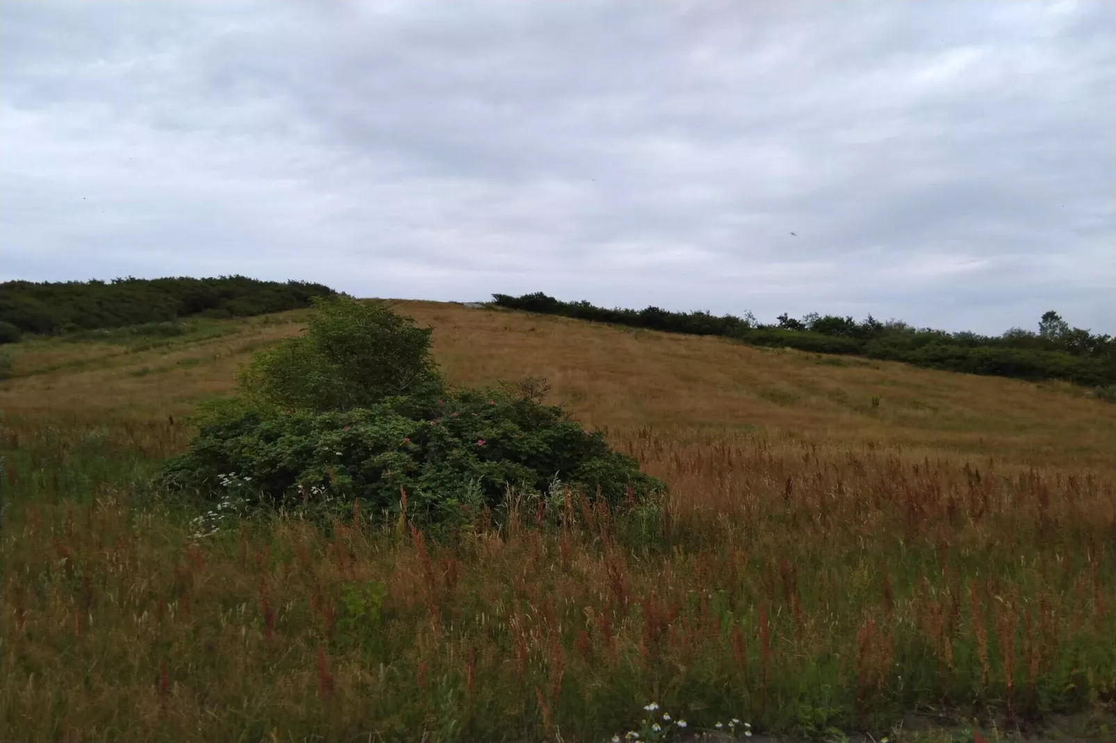 5 persoons vakantie huis in Esbjerg V-By Traum-Niet-getagd