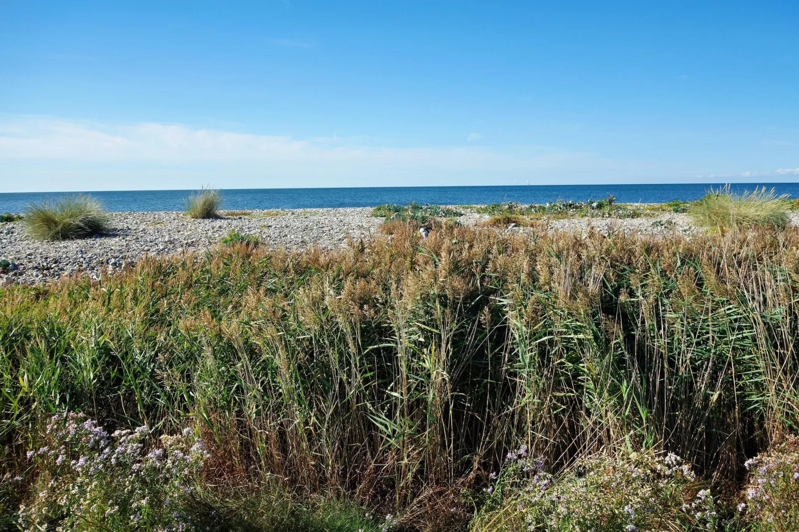Inselresort Thor Heyerdahl-Gebieden zomer 5km