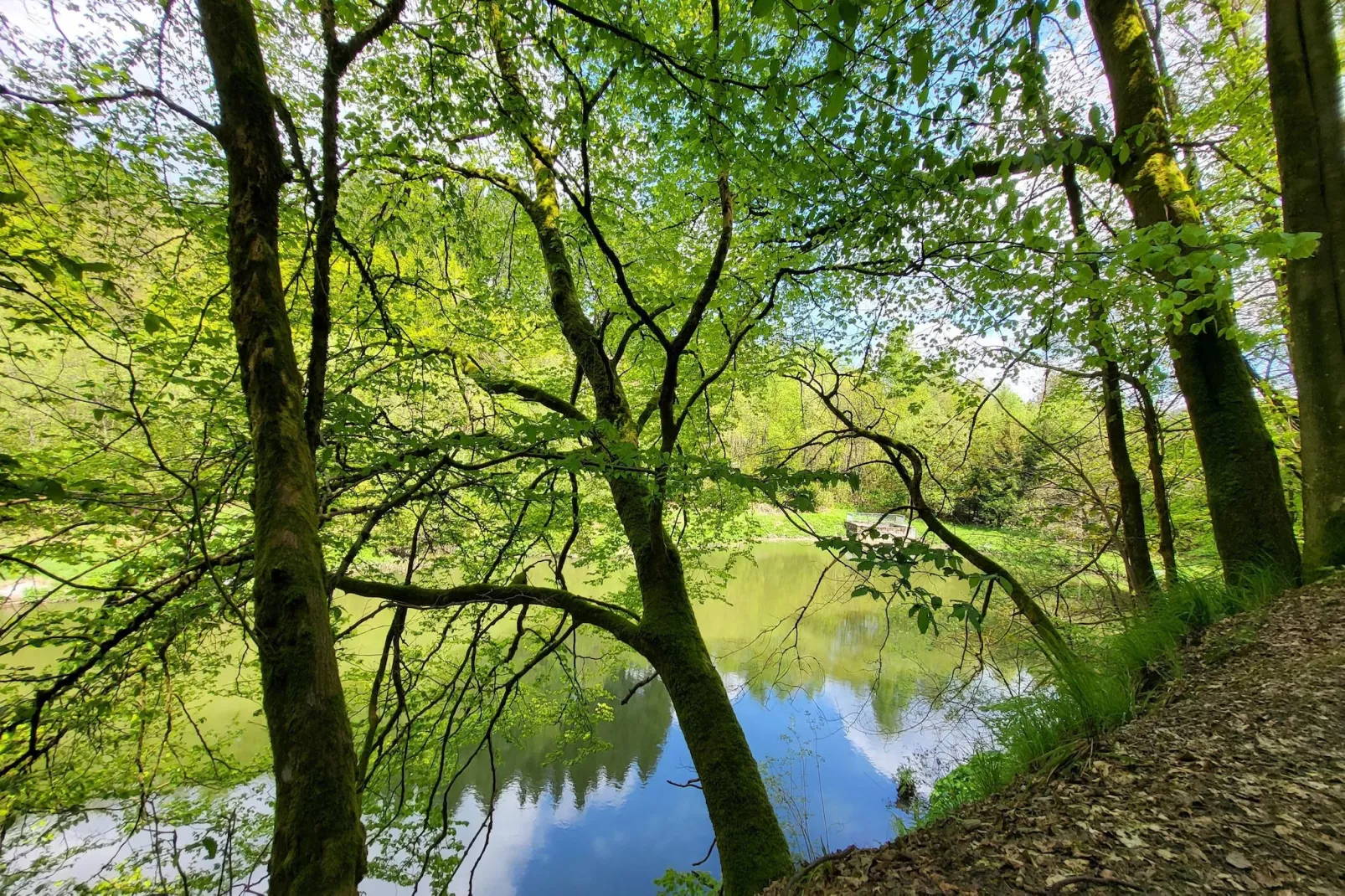 Buchenweg 13 - K-Gebieden zomer 5km