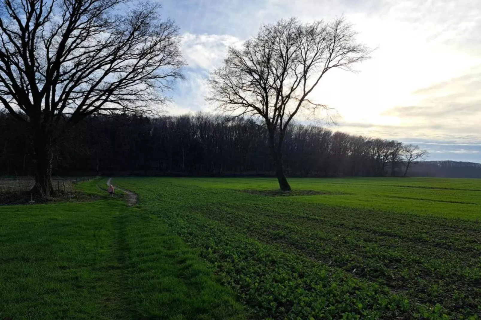 Vakantiepark De Lochemse Berg 1-Gebieden zomer 20km