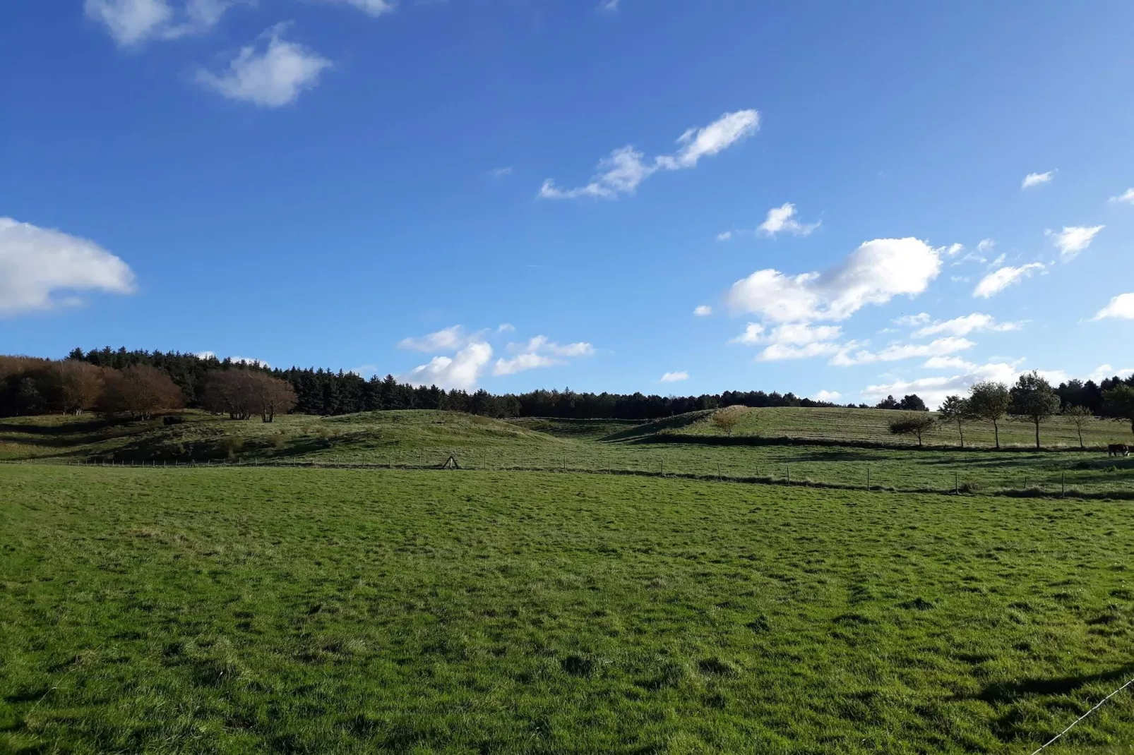 Zonnig toevluchtsoord in Bonnerup Haven-By Traum-Niet-getagd