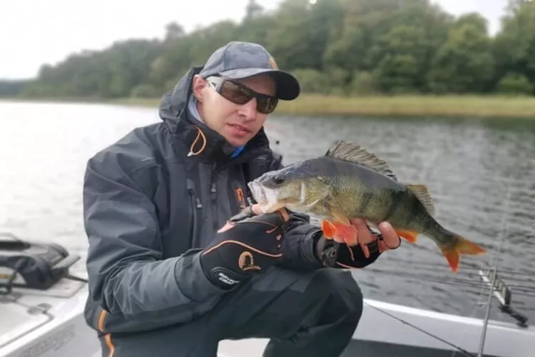 Dom wakacyjny w Oświnie-Gebieden zomer 1km