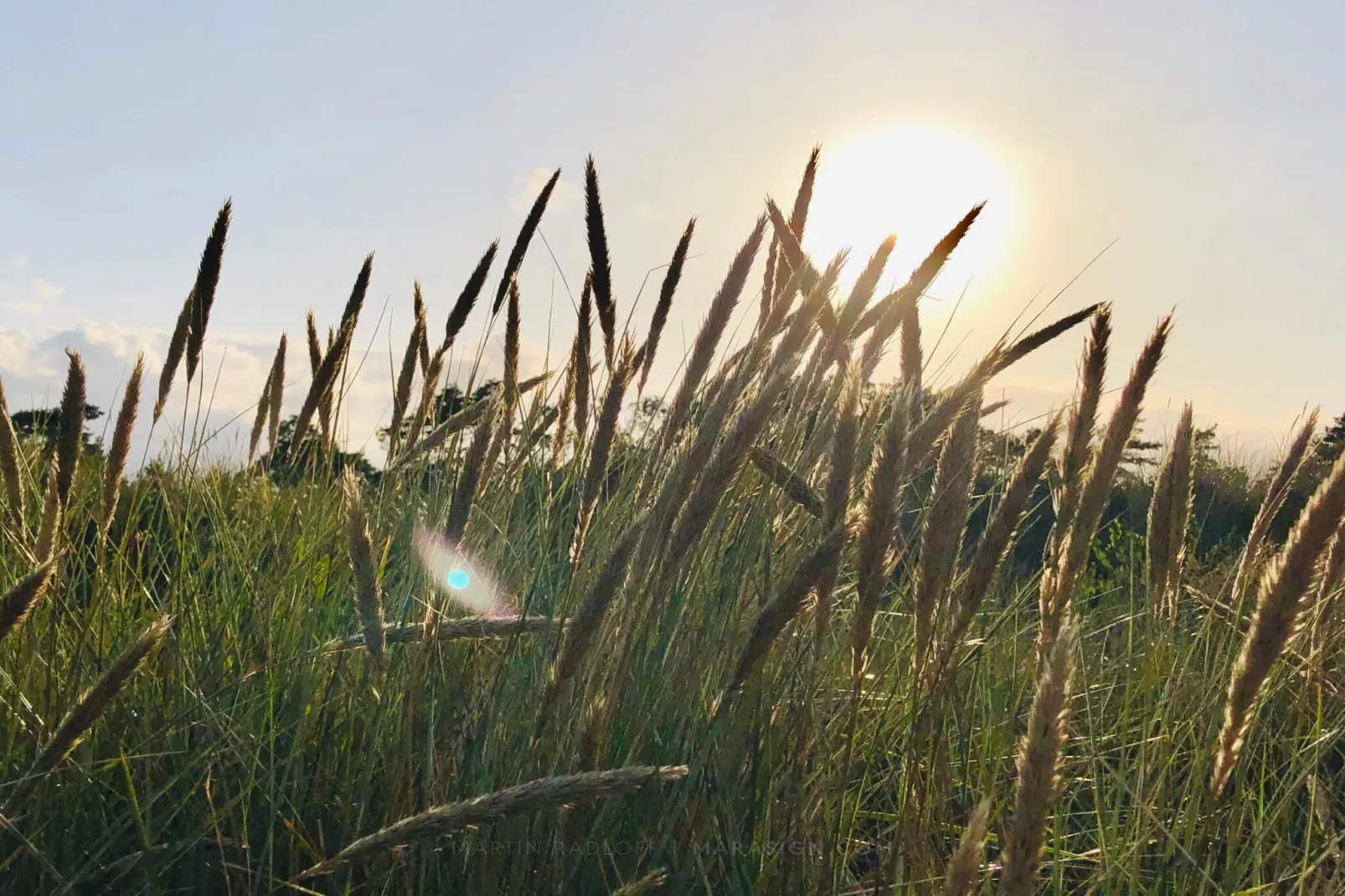Luxe strandhuis met spa -- By Traum Ferienwohnungen-Niet-getagd