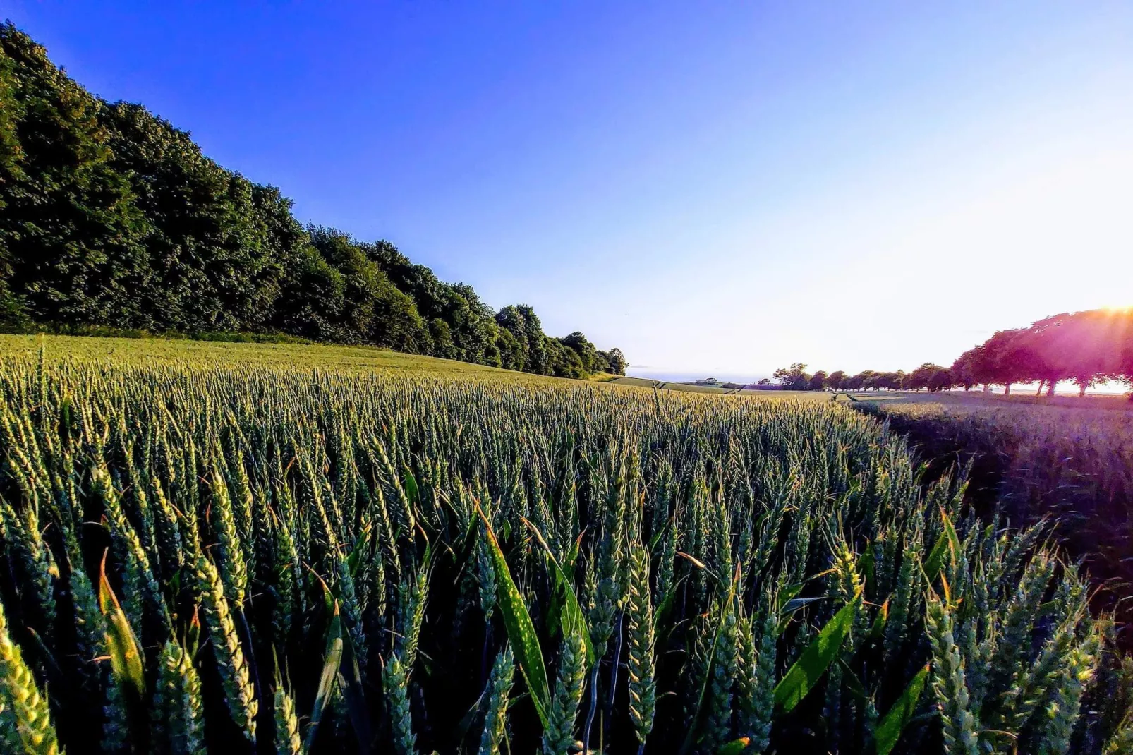 Sfeervol Vissershuisje -- By Traum Ferienwohnungen-Niet-getagd