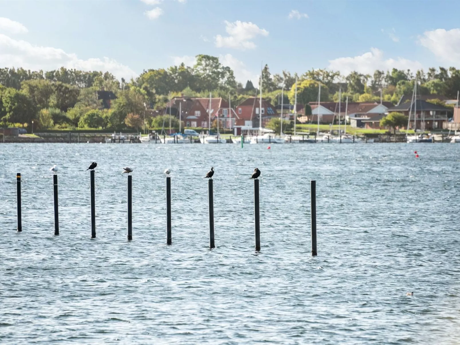 "Joar" - 5m to the fjord