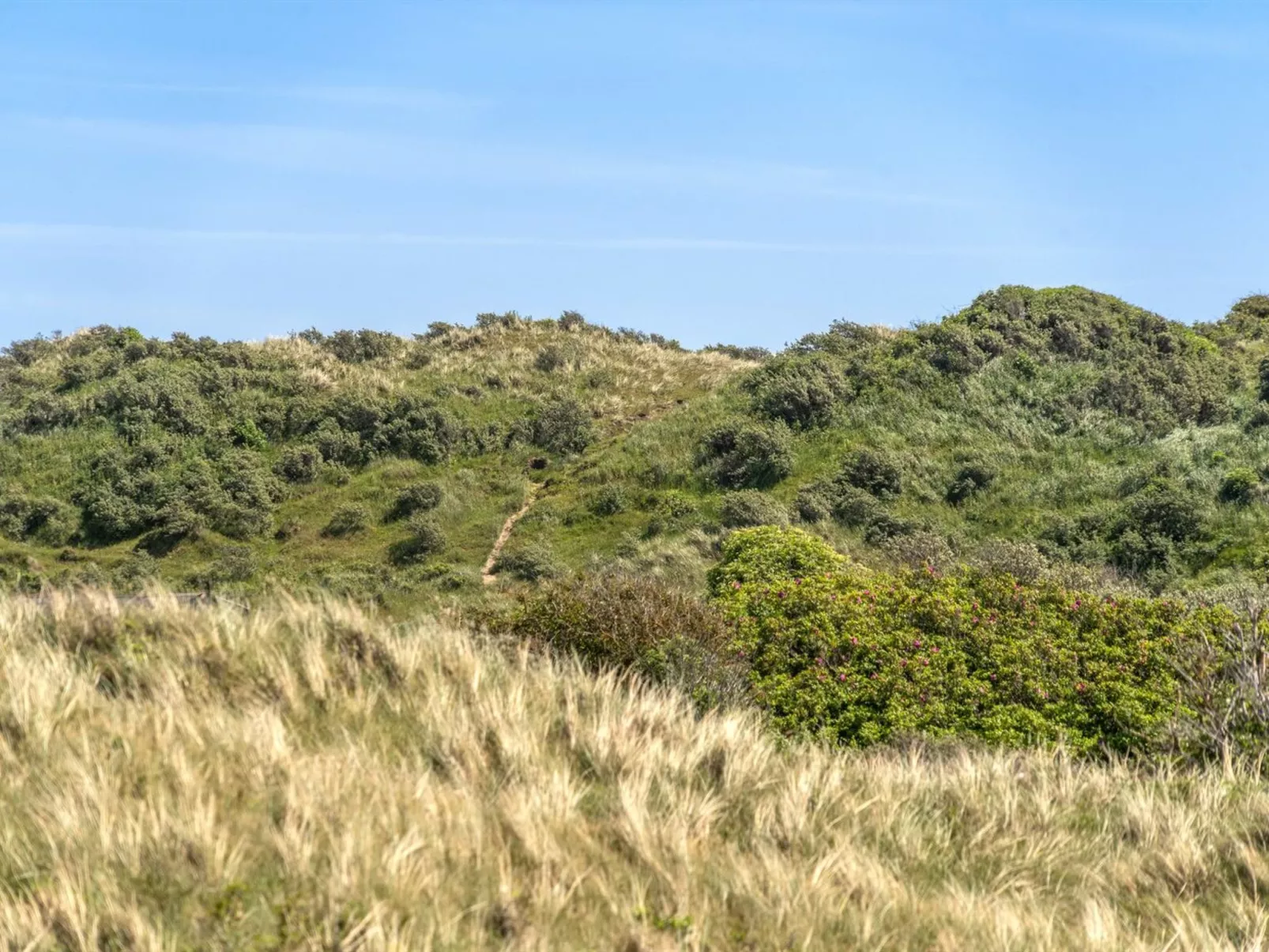 "Randulf" - 450m from the sea