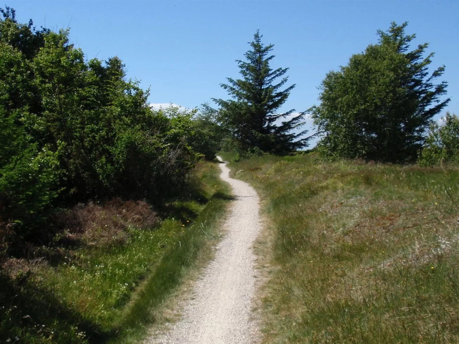 "Teodora" - 450m from the sea