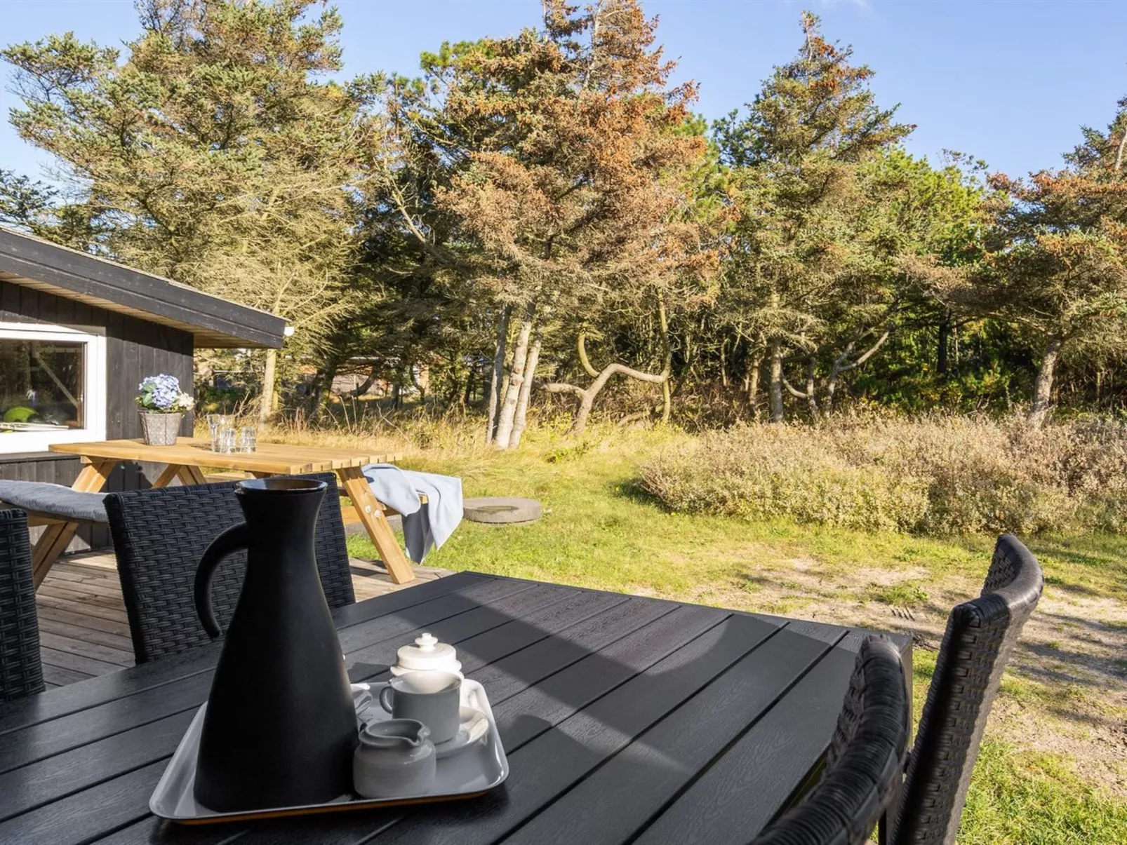 "Shalez" -  from the sea