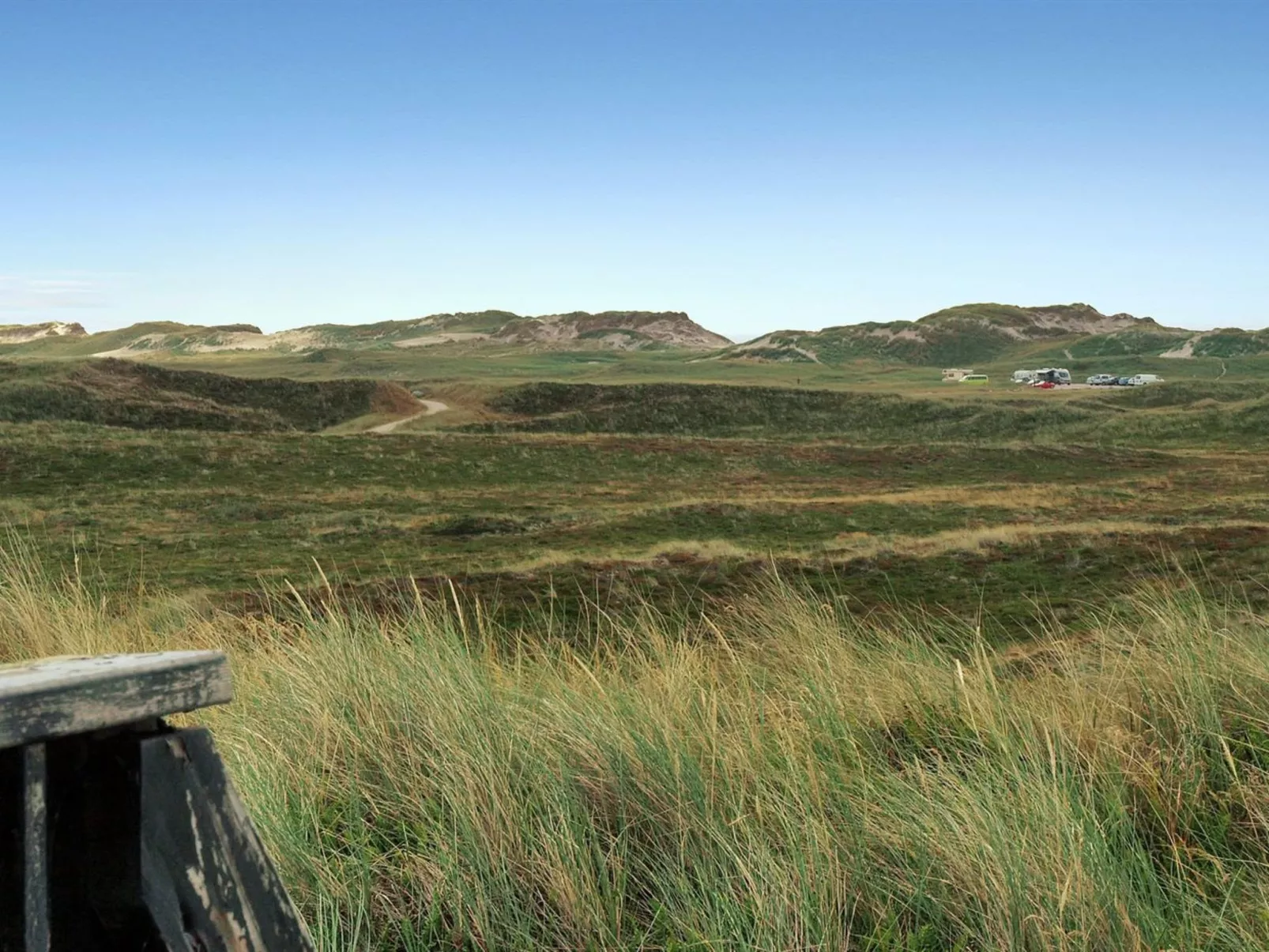 "Swanja" -  from the sea