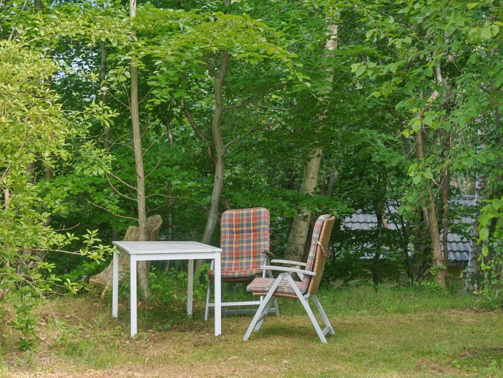 "Rahilka" - 700m from the sea