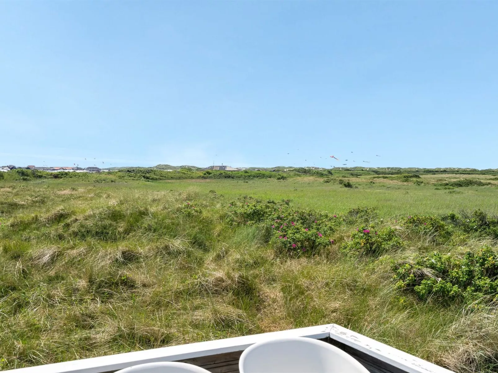 "Hermoth" - 300m from the sea