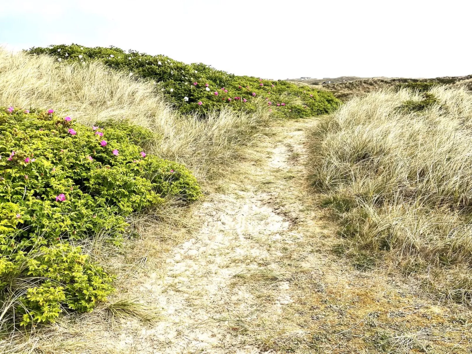 "Carelle" - 300m from the sea-Buiten