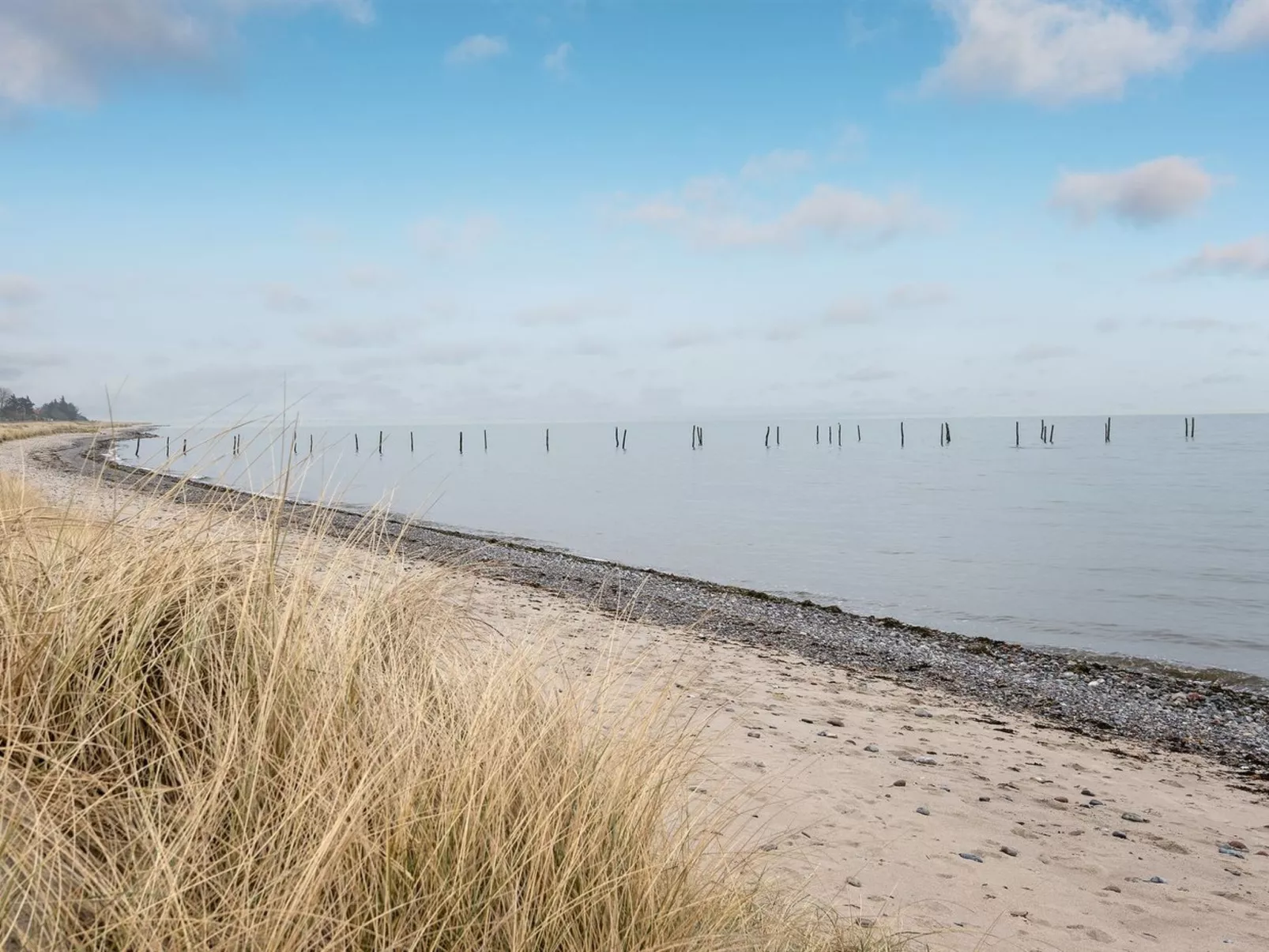 "Hattie" - 100m from the sea