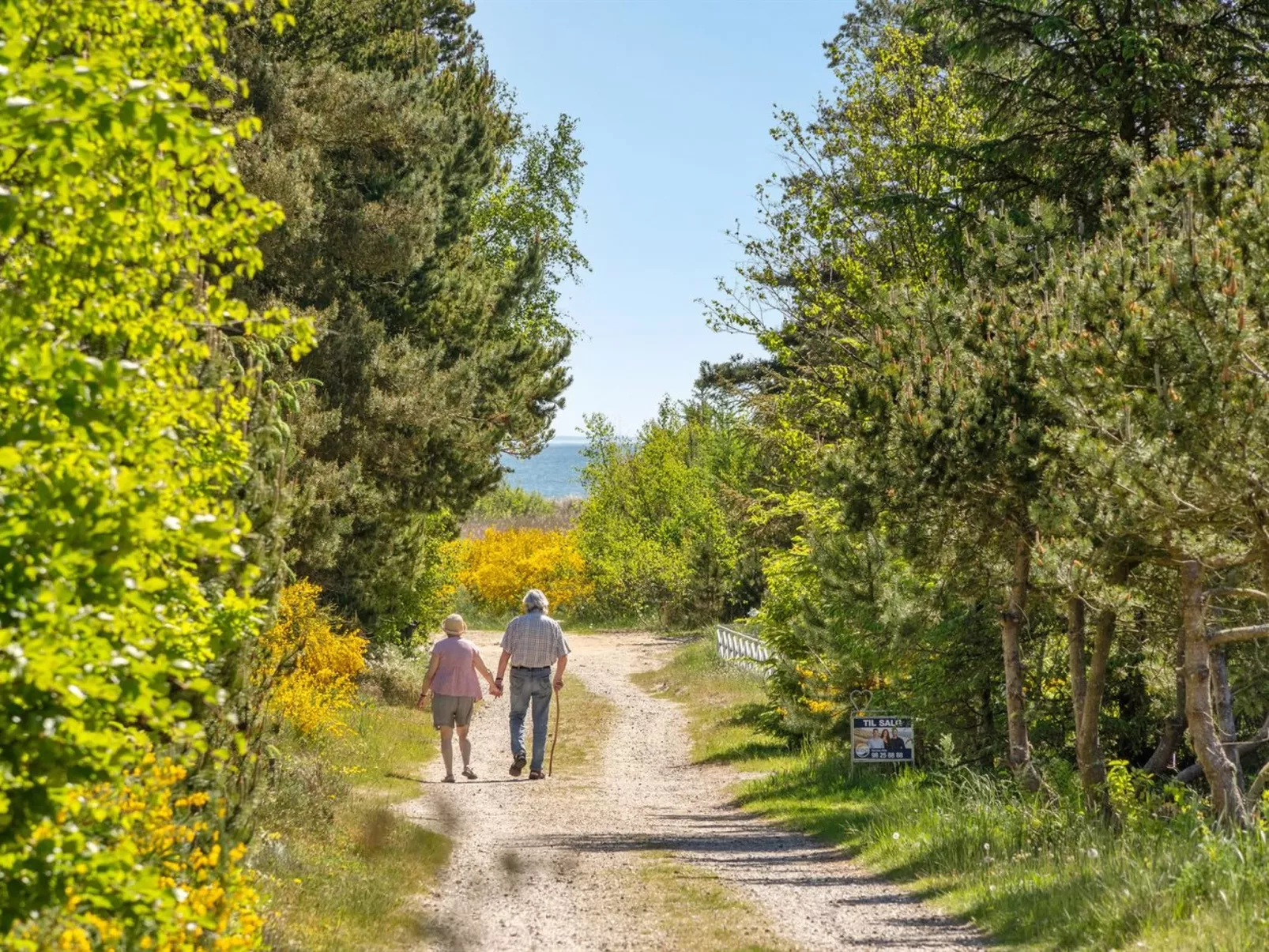 "Anderson" -  from the sea