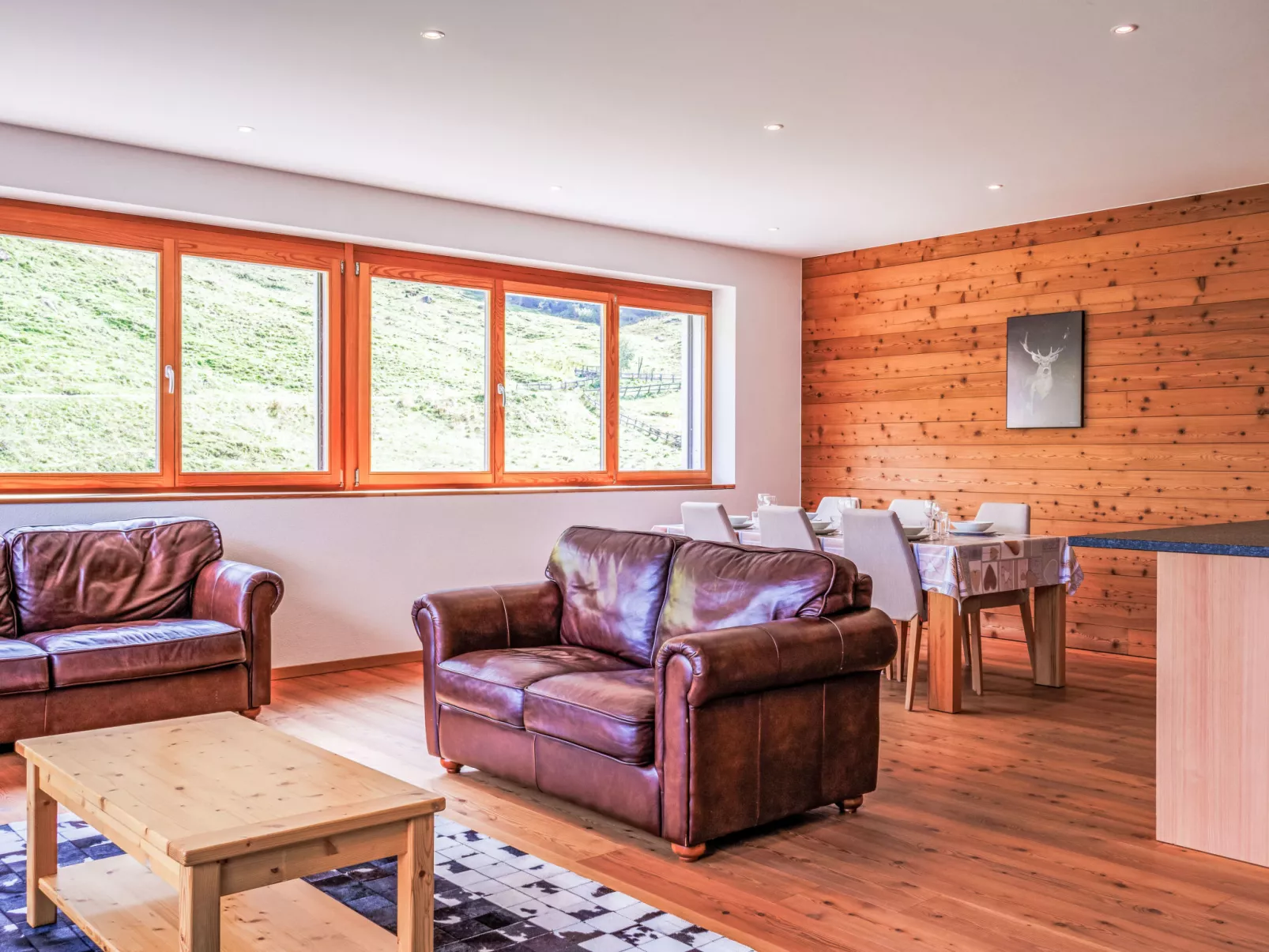 Rosablanche E 107-Binnen